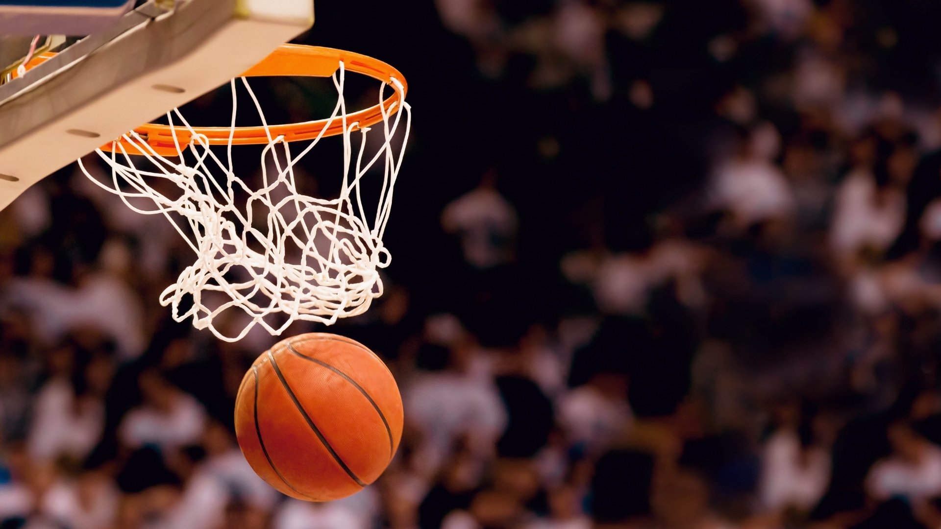NBA新秀表现抢眼，nba新秀球员排名