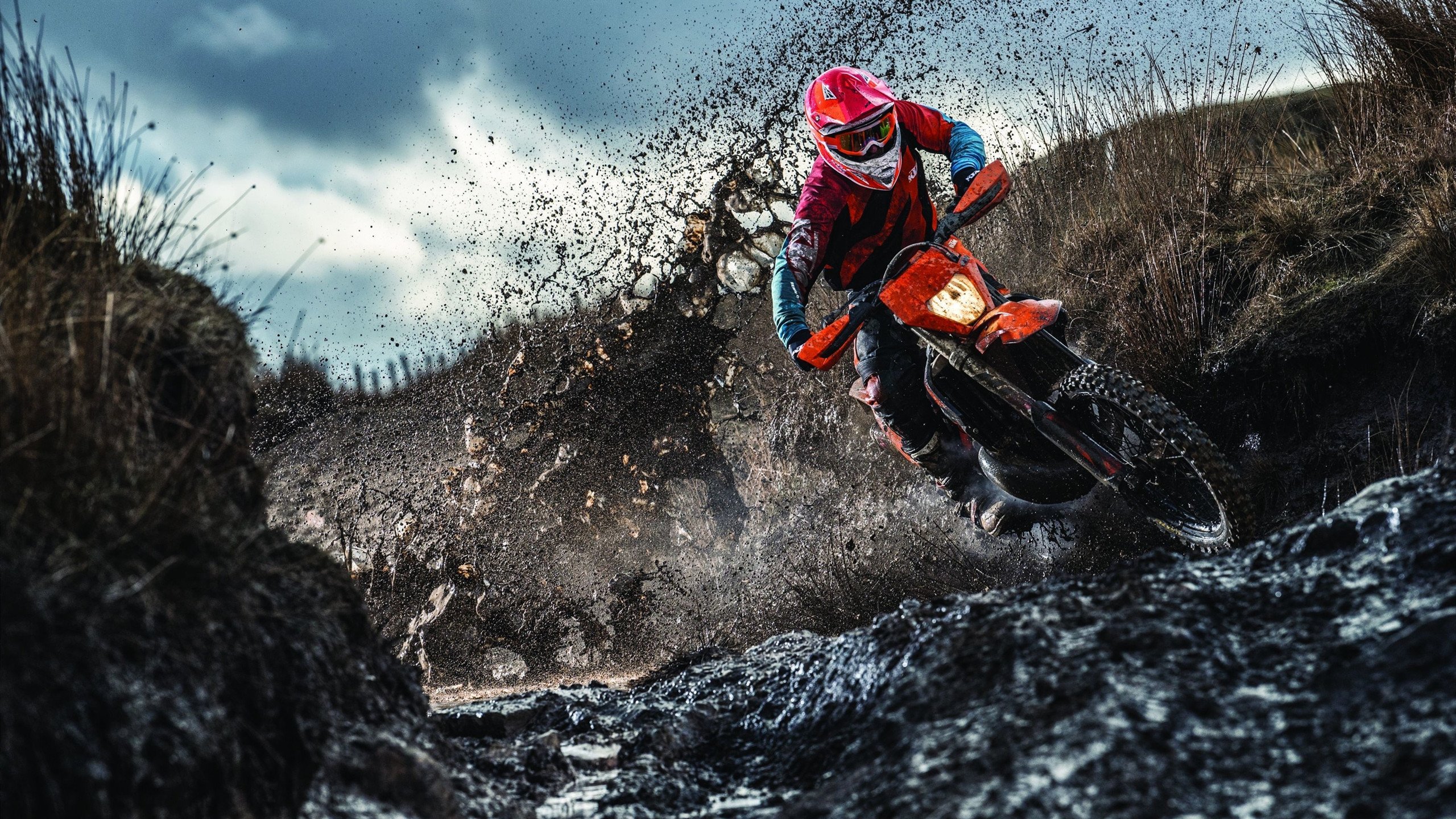 蛙泳对决奥地利游出新速度,奥运会蛙游泳决赛视频